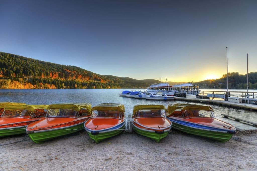 Waldblick Titisee Экстерьер фото