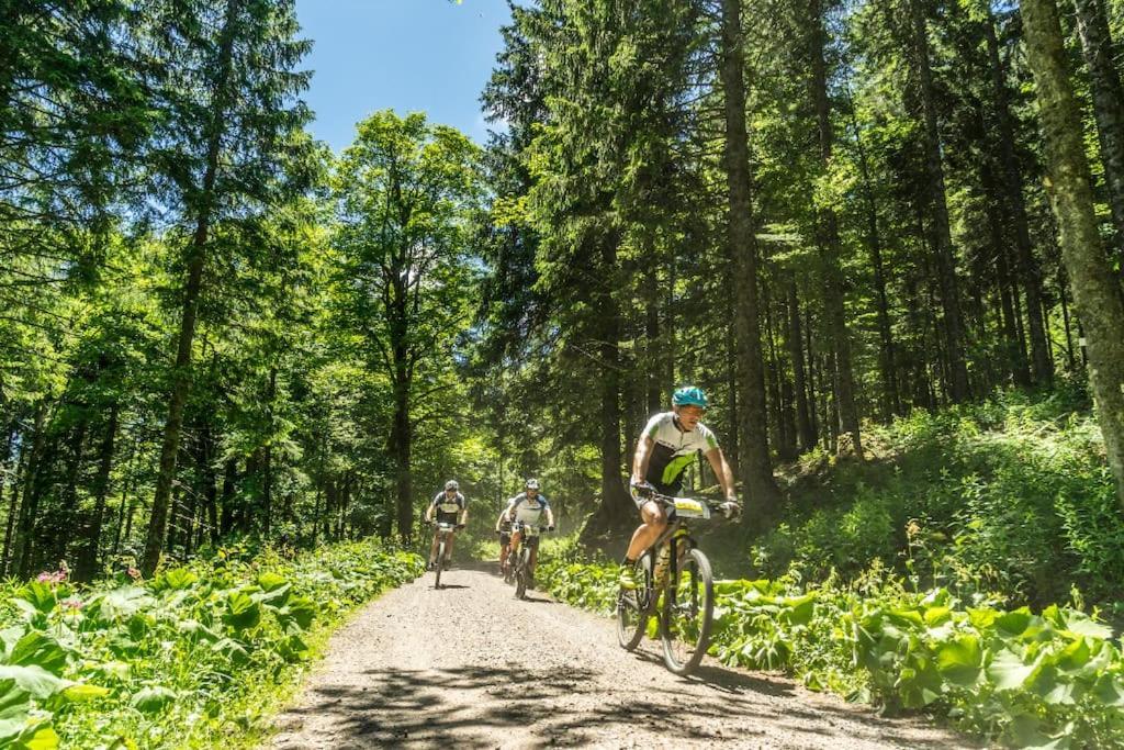 Waldblick Titisee Экстерьер фото